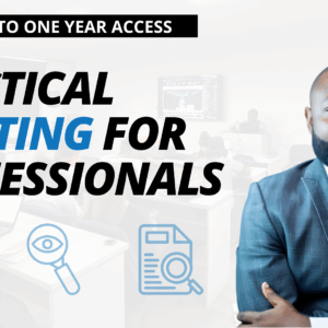 Practical Auditing For Professionals