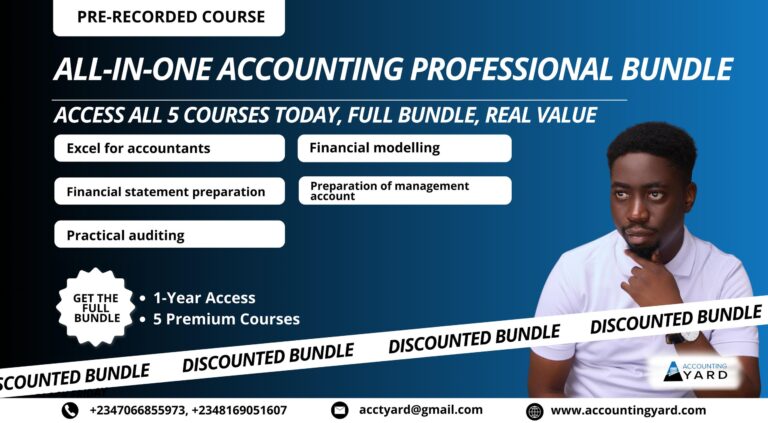 Accounting Professionals Bundle